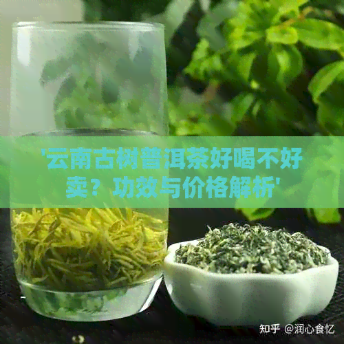 '云南古树普洱茶好喝不好卖？功效与价格解析'