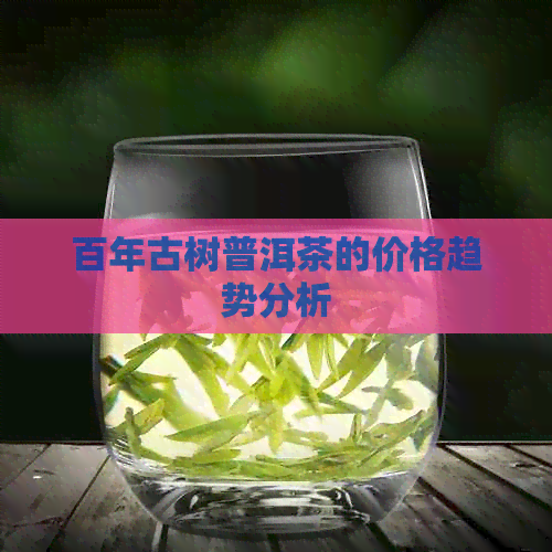 百年古树普洱茶的价格趋势分析