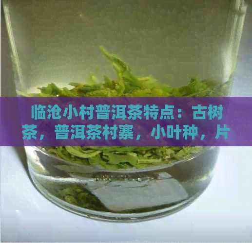 临沧小村普洱茶特点：古树茶，普洱茶村寨，小叶种，片区茶