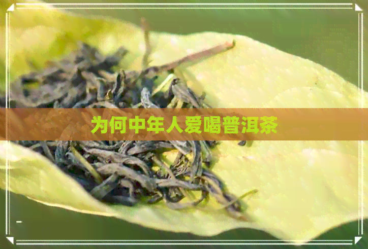 为何中年人爱喝普洱茶