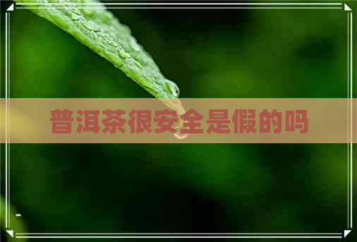 普洱茶很安全是假的吗