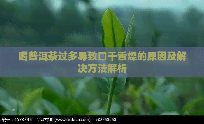 喝普洱茶过多导致口干舌燥的原因及解决方法解析