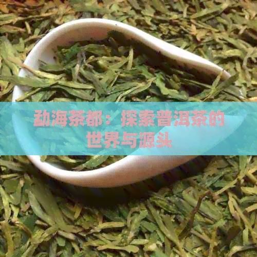 勐海茶都：探索普洱茶的世界与源头