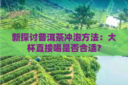 新探讨普洱茶冲泡方法：大杯直接喝是否合适？