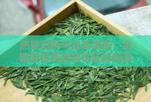 熟普洱茶与生普洱茶：全面解析两者特性及如何选择，以满足您的饮茶需求