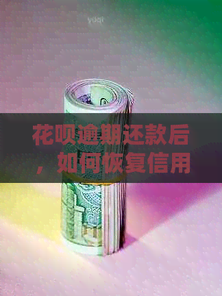 花呗逾期还款后，如何恢复信用及避免受损？