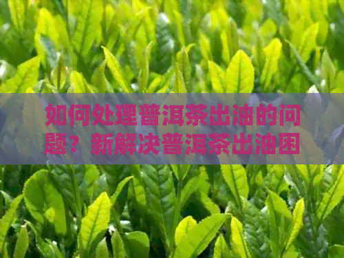 如何处理普洱茶出油的问题？新解决普洱茶出油困扰的全方位方法大解析