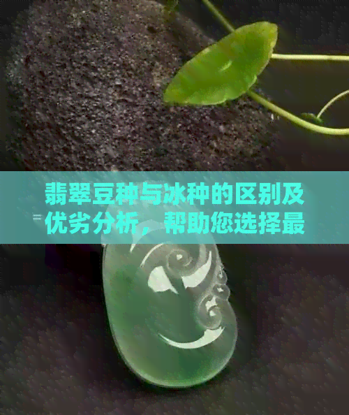 翡翠豆种与冰种的区别及优劣分析，帮助您选择最适合的翡翠种类