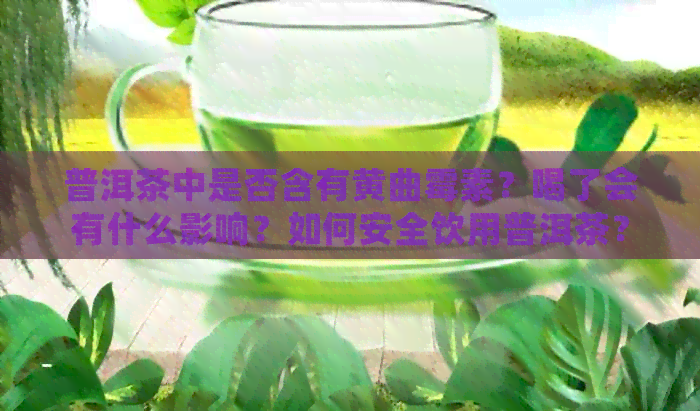 普洱茶中是否含有黄曲霉素？喝了会有什么影响？如何安全饮用普洱茶？