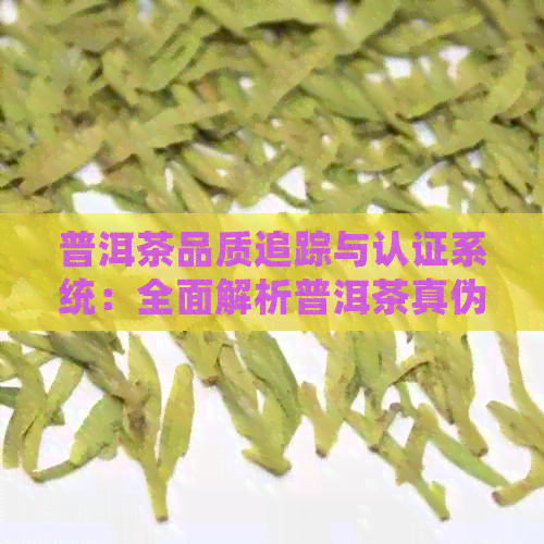 普洱茶品质追踪与认证系统：全面解析普洱茶真伪查询