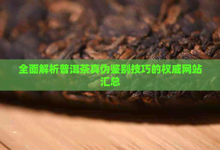 全面解析普洱茶真伪鉴别技巧的权威网站汇总