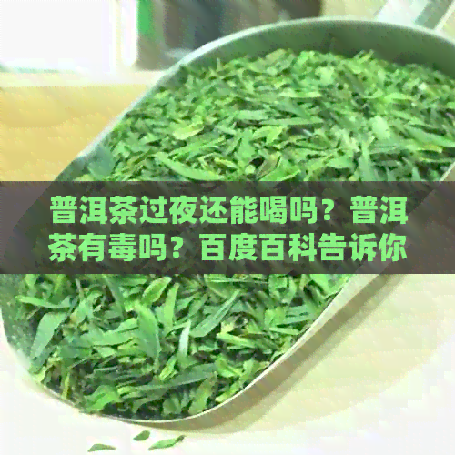 普洱茶过夜还能喝吗？普洱茶有吗？百度百科告诉你答案。