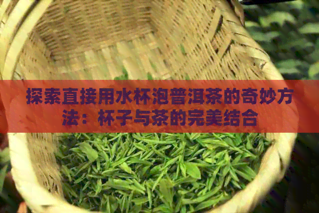 探索直接用水杯泡普洱茶的奇妙方法：杯子与茶的完美结合