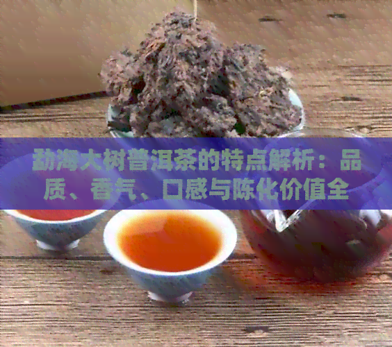 勐海大树普洱茶的特点解析：品质、香气、口感与陈化价值全方位解读