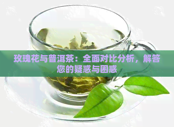 玫瑰花与普洱茶：全面对比分析，解答您的疑惑与困惑