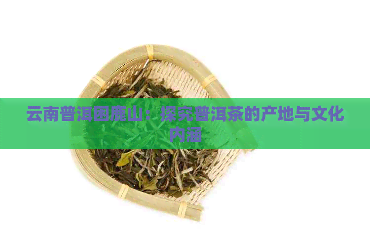 云南普洱困鹿山：探究普洱茶的产地与文化内涵