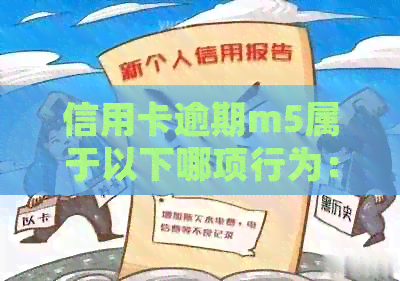 信用卡逾期m5属于以下哪项行为：请提供相关信息以便确定。