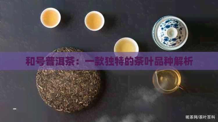 和号普洱茶：一款独特的茶叶品种解析