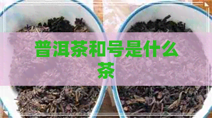 普洱茶和号是什么茶