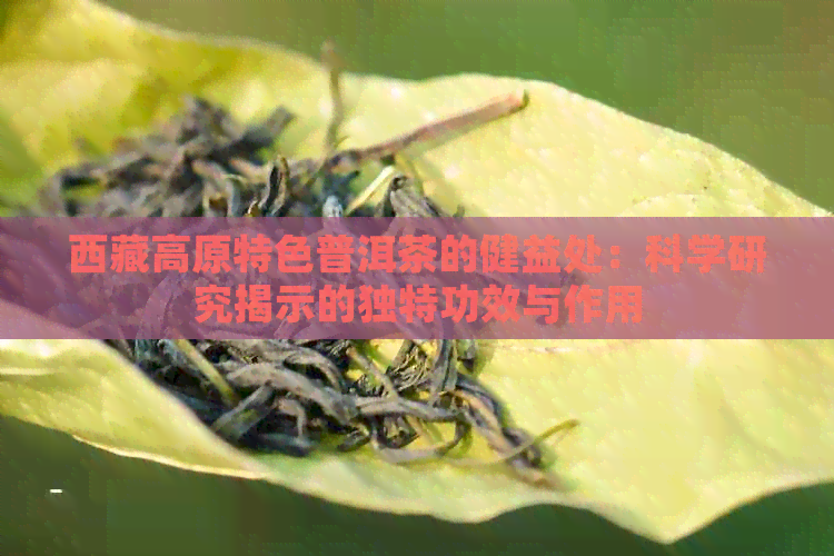      高原特色普洱茶的健益处：科学研究揭示的独特功效与作用