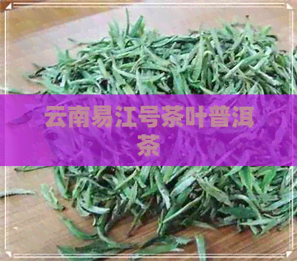 云南易江号茶叶普洱茶