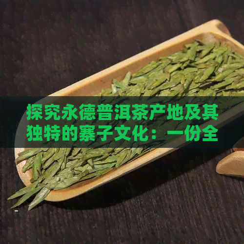 探究永德普洱茶产地及其独特的寨子文化：一份全面的指南