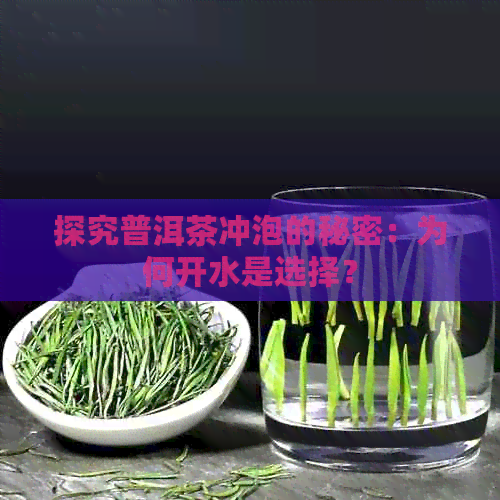 探究普洱茶冲泡的秘密：为何开水是选择？