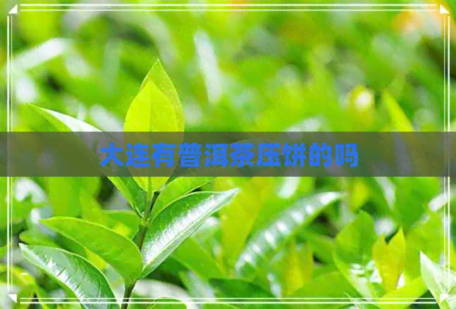 大连有普洱茶压饼的吗