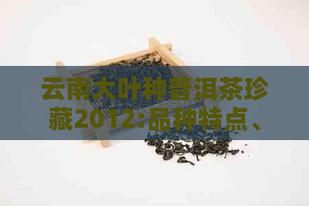 云南大叶种普洱茶珍藏2012:品种特点、口感、保存方法和品鉴技巧全解析