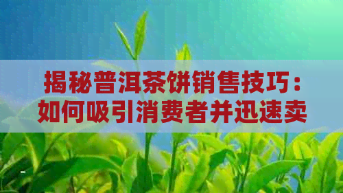 揭秘普洱茶饼销售技巧：如何吸引消费者并迅速卖出