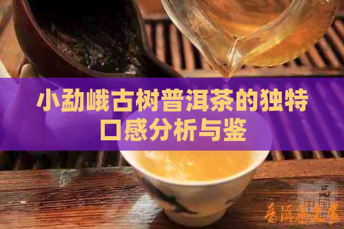 小勐峨古树普洱茶的独特口感分析与鉴