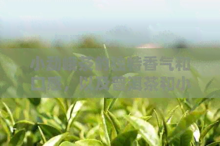 小勐峨茶的独特香气和口感，以及普洱茶和小叶种古树茶的特点。