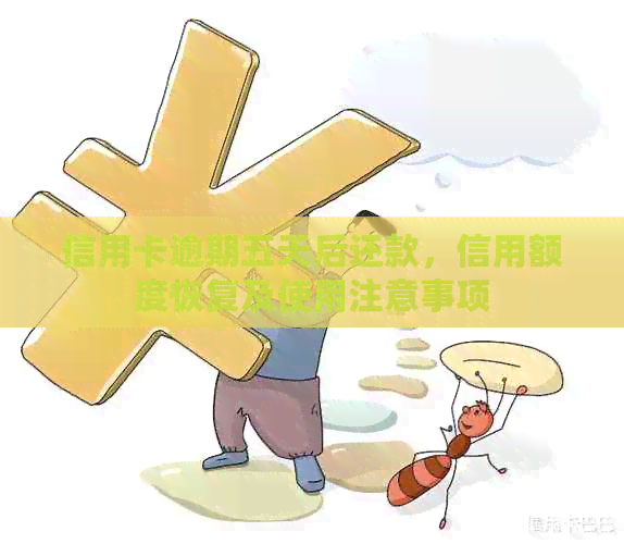 信用卡逾期五天后还款，信用额度恢复及使用注意事项