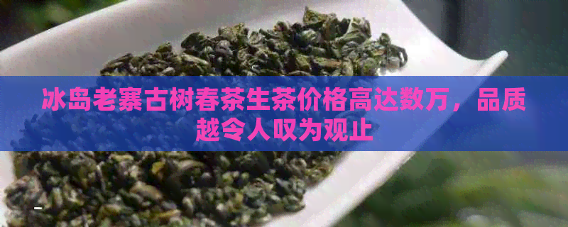 冰岛老寨古树春茶生茶价格高达数万，品质越令人叹为观止