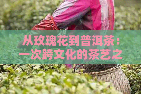 从玫瑰花到普洱茶：一次跨文化的茶艺之旅