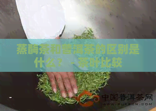 蒸酶茶和普洱茶的区别是什么？ - 茶叶比较