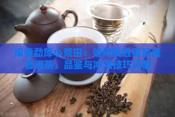 探索勐库小荒田：如何挑选高品质普洱茶，品鉴与冲泡技巧详解