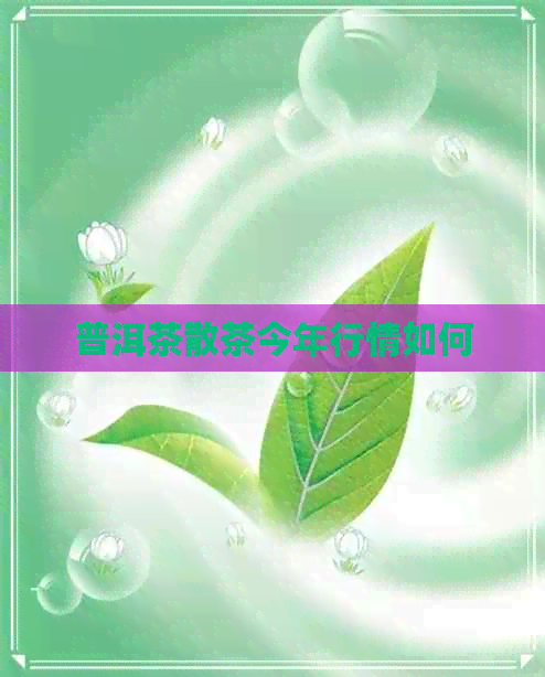 普洱茶散茶今年行情如何