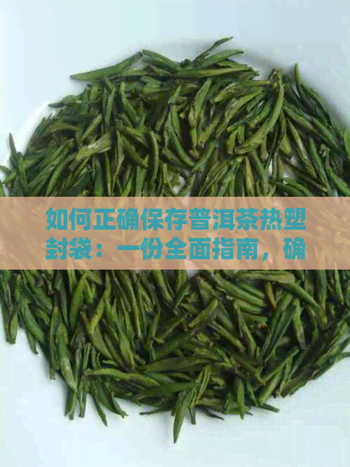 如何正确保存普洱茶热塑封袋：一份全面指南，确保茶叶品质与口感