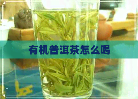 有机普洱茶怎么喝