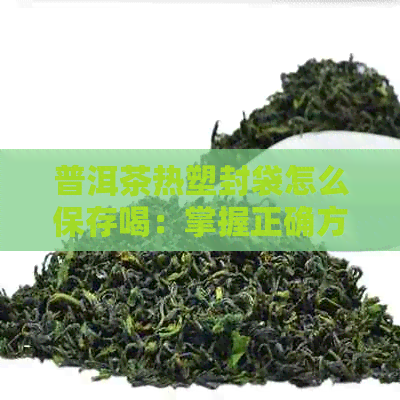 普洱茶热塑封袋怎么保存喝：掌握正确方法，保持香气和口感！