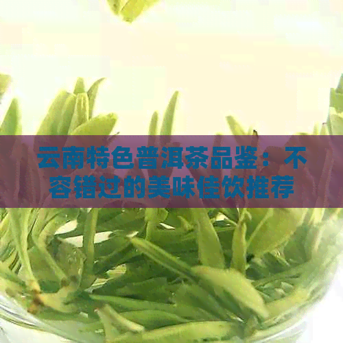 云南特色普洱茶品鉴：不容错过的美味佳饮推荐