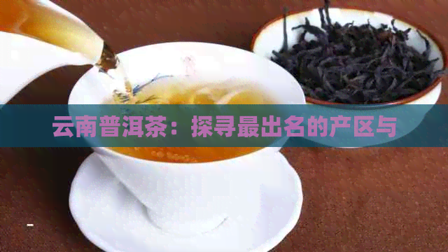 云南普洱茶：探寻最出名的产区与