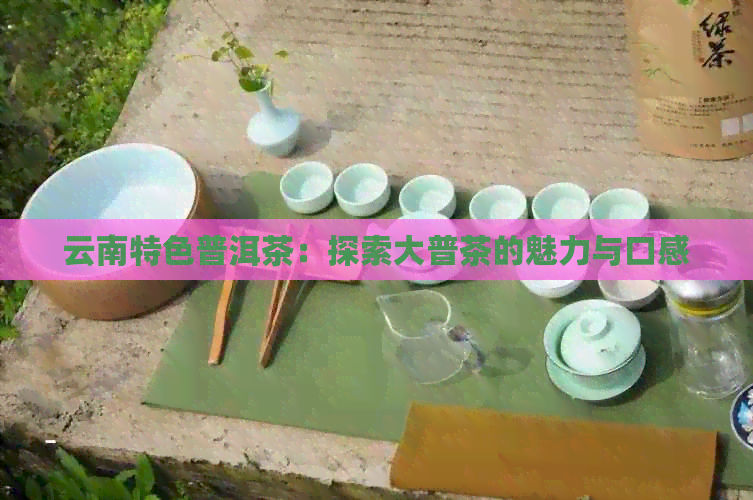 云南特色普洱茶：探索大普茶的魅力与口感