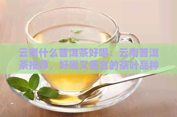 云南什么普洱茶好喝：云南普洱茶推荐，好喝又便宜的茶叶品种有哪些？