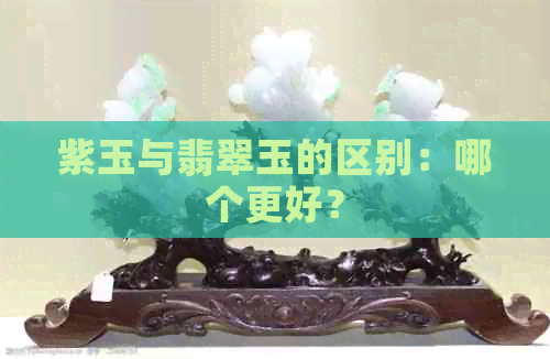 紫玉与翡翠玉的区别：哪个更好？