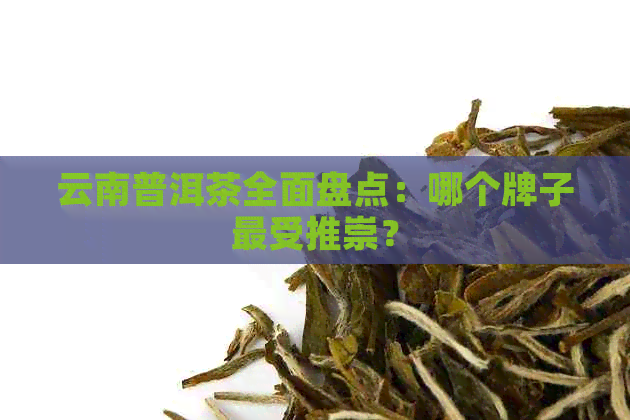 云南普洱茶全面盘点：哪个牌子最受推崇？