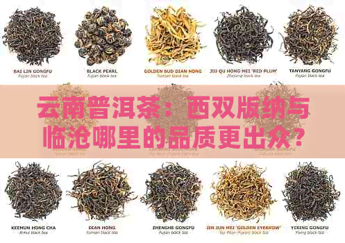 云南普洱茶：西双版纳与临沧哪里的品质更出众？