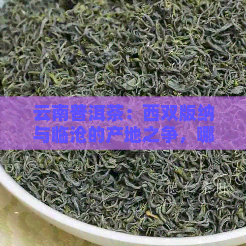 云南普洱茶：西双版纳与临沧的产地之争，哪一个更被誉为茶叶产地？