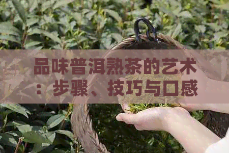 品味普洱熟茶的艺术：步骤、技巧与口感探究